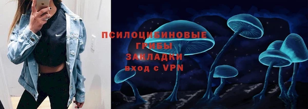 a pvp Дмитровск
