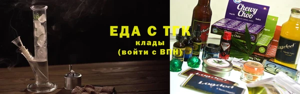 spice Дмитриев