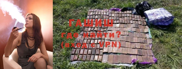 spice Дмитриев