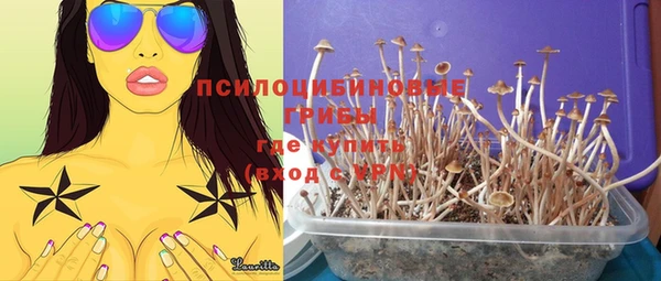 MESCALINE Дмитров