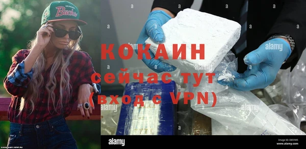 spice Дмитриев