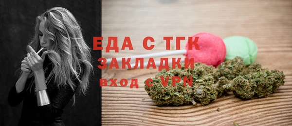 spice Дмитриев