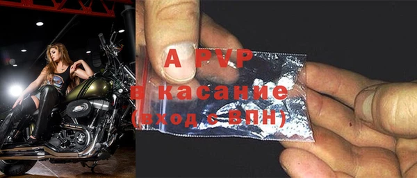 spice Дмитриев